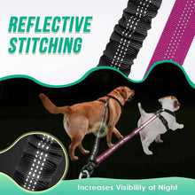Guia Dupla com Amortecedor | Passeie com Dois Cães com Segurança
