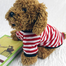 Camiseta Listrada para Pets | Roupa Leve e Confortável