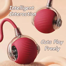 Brinquedo Interativo para Pets | Bola com Corda que Estimula seu Pet
