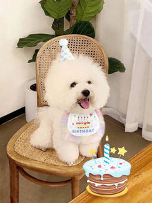 Kit de Aniversário para Cães e Gatos | Chapéu + Bandana Ajustável