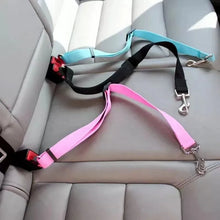 Cinto de Segurança para Pets | Mais Segurança e Conforto no Transporte