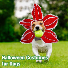 Fantasia de Terror para Pets Cosplay | Tiara Floral Assustadora para Halloween DemonDog