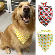 Bandana para Pets | Lenço Leve e Confortável para Uso Diário
