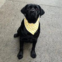 Bandana para Pets | Lenço Leve e Confortável para Uso Diário