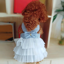 Vestido Fofo para Cachorros | Saia com Renda Super Delicada
