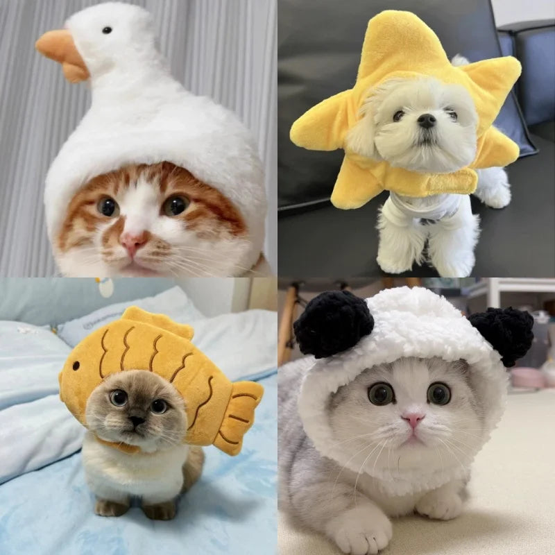 Touca Divertida para Pets | Deixe seu Pet Ainda Mais Fofo