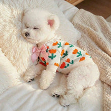 Suéter Floral para Pets | Roupa Quentinha com Laço e Argola para Guia
