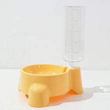 Bebedouro Automático para Pets com Garrafa Acoplada