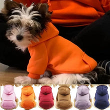 Moletom com Capuz para Cachorros | Conforto e Proteção no Frio
