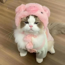 Touca Divertida para Pets | Deixe seu Pet Ainda Mais Fofo