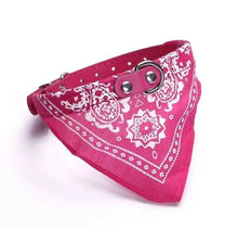 Coleira com Bandana Ajustável para Pets | Estilo e Conforto no Dia a Dia