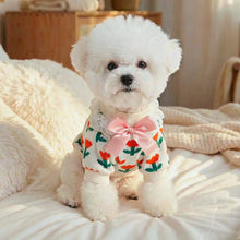 Suéter Floral para Pets | Roupa Quentinha com Laço e Argola para Guia