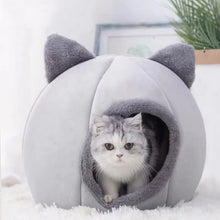 Caminha Toca para Pets | Mais Conforto e Segurança para o seu Pet