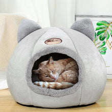 Caminha Toca para Pets | Mais Conforto e Segurança para o seu Pet