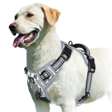 Peitoral Anti-Puxão para Cães | Mais Controle e Conforto nos Passeios