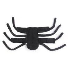 Fantasia de Aranha para Pets | Perfeita para Fotos e Diversão