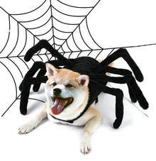 Fantasia de Aranha para Pets | Perfeita para Fotos e Diversão