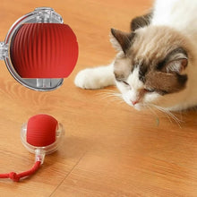 Brinquedo Interativo para Pets | Bola com Corda que Estimula seu Pet