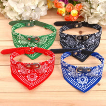 Coleira com Bandana Ajustável para Pets | Estilo e Conforto no Dia a Dia