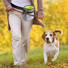 Bolsa Porta Petiscos para Pets | Praticidade no Treinamento e Passeios