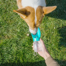 Garrafa Portátil com Bebedouro para Pets (300ml) | Praticidade em Passeios e Viagens