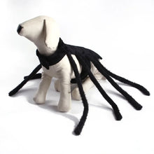 Fantasia de Aranha para Pets | Perfeita para Fotos e Diversão